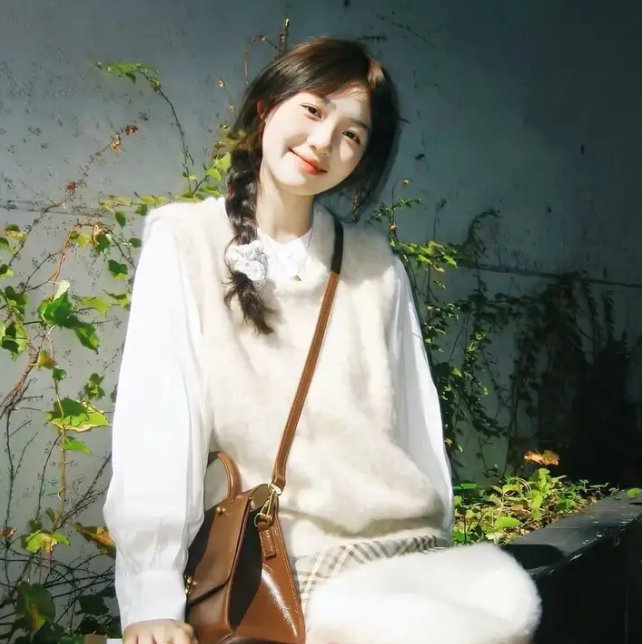 贺先生的隐婚蜜爱